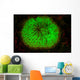 Mushroom Coral Fluoresces as Wall Decal