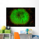 Mushroom Coral Fluoresces as Wall Decal