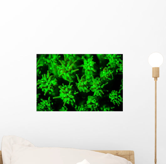 Coral Colony Fluoresces as Wall Decal
