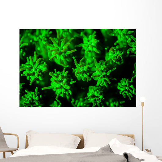 Coral Colony Fluoresces as Wall Decal