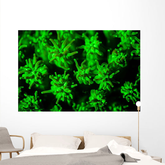 Coral Colony Fluoresces as Wall Decal