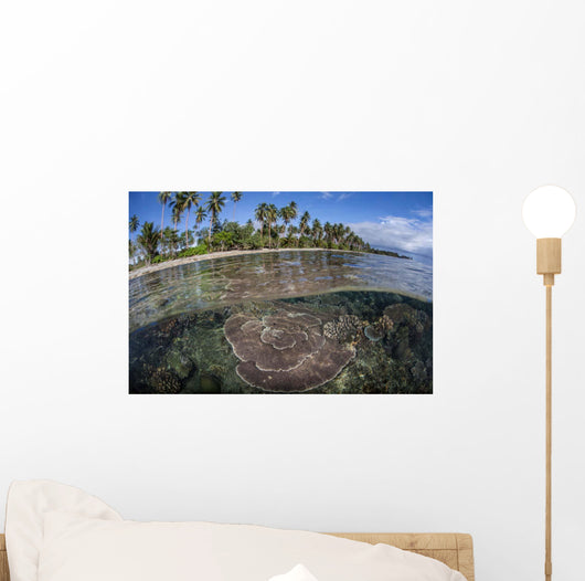 Coral Reef Grows near Wall Decal Design 2