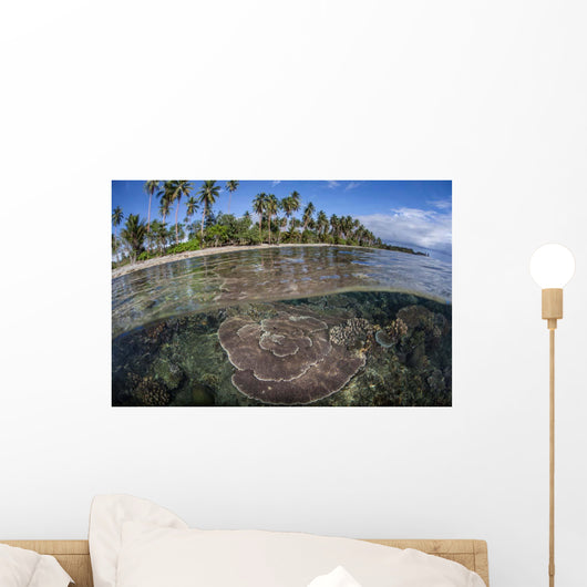 Coral Reef Grows near Wall Decal Design 2