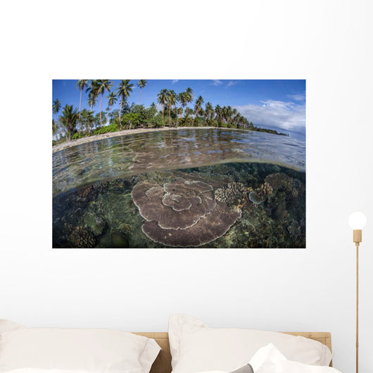 Coral Reef Grows near Wall Decal Design 2