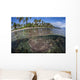Coral Reef Grows near Wall Decal Design 2