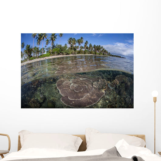 Coral Reef Grows near Wall Decal Design 2