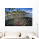 Coral Reef Grows near Wall Decal Design 2