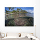 Coral Reef Grows near Wall Decal Design 2