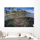 Coral Reef Grows near Wall Decal Design 2