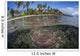Coral Reef Grows near Wall Decal Design 2