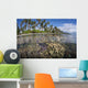 Coral Reef Grows near Wall Decal Design 1