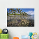 Coral Reef Grows near Wall Decal Design 1