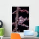 Pygmy Seahorse Mimics Its Wall Decal Design 2