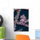 Pygmy Seahorse Mimics Its Wall Decal Design 1