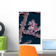 Pygmy Seahorse Mimics Its Wall Decal Design 1