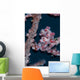 Pygmy Seahorse Mimics Its Wall Decal Design 1