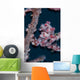 Pygmy Seahorse Mimics Its Wall Decal Design 1