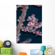 Pygmy Seahorse Mimics Its Wall Decal Design 1