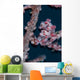 Pygmy Seahorse Mimics Its Wall Decal Design 1