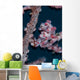 Pygmy Seahorse Mimics Its Wall Decal Design 1