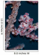 Pygmy Seahorse Mimics Its Wall Decal Design 1