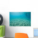 Diver Hovers above Sandy Wall Decal