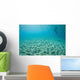 Diver Hovers above Sandy Wall Decal