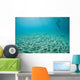Diver Hovers above Sandy Wall Decal