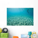 Diver Hovers above Sandy Wall Decal