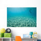 Diver Hovers above Sandy Wall Decal