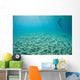 Diver Hovers above Sandy Wall Decal