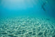 Diver Hovers above Sandy Wall Decal