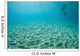 Diver Hovers above Sandy Wall Decal