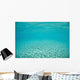 Sunlight Dances across Sandy Wall Decal Design 5