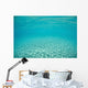 Sunlight Dances across Sandy Wall Decal Design 5