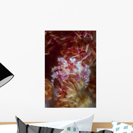 Soft Coral Crab Clings Wall Decal Design 2