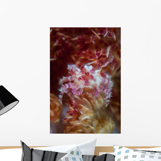 Soft Coral Crab Clings Wall Decal Design 2