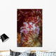 Soft Coral Crab Clings Wall Decal Design 2