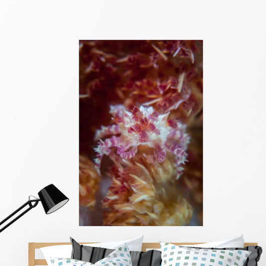 Soft Coral Crab Clings Wall Decal Design 2