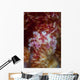 Soft Coral Crab Clings Wall Decal Design 2