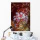 Soft Coral Crab Clings Wall Decal Design 2