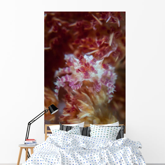 Soft Coral Crab Clings Wall Decal Design 2