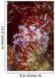 Soft Coral Crab Clings Wall Decal Design 2