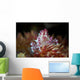Soft Coral Crab Clings Wall Decal Design 1