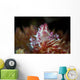 Soft Coral Crab Clings Wall Decal Design 1