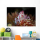 Soft Coral Crab Clings Wall Decal Design 1