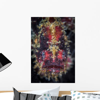 Well-camouflaged Frogfish Waits to Wall Decal Design 2 shown on a wall