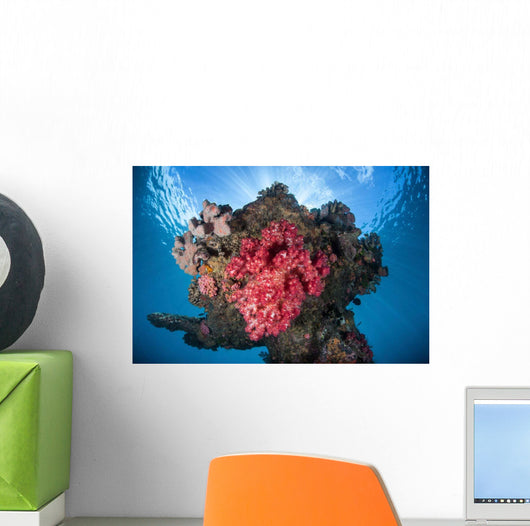 Soft Coral Colony Grows Wall Decal Design 8
