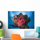 Soft Coral Colony Grows Wall Decal Design 8
