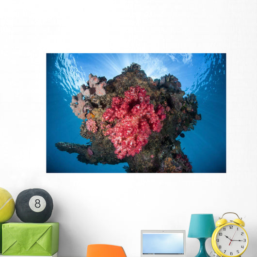 Soft Coral Colony Grows Wall Decal Design 8